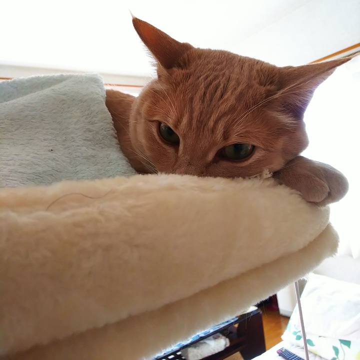 Aee483f9 71e6 49f4 9332 52d5bc97258d 1587790628872