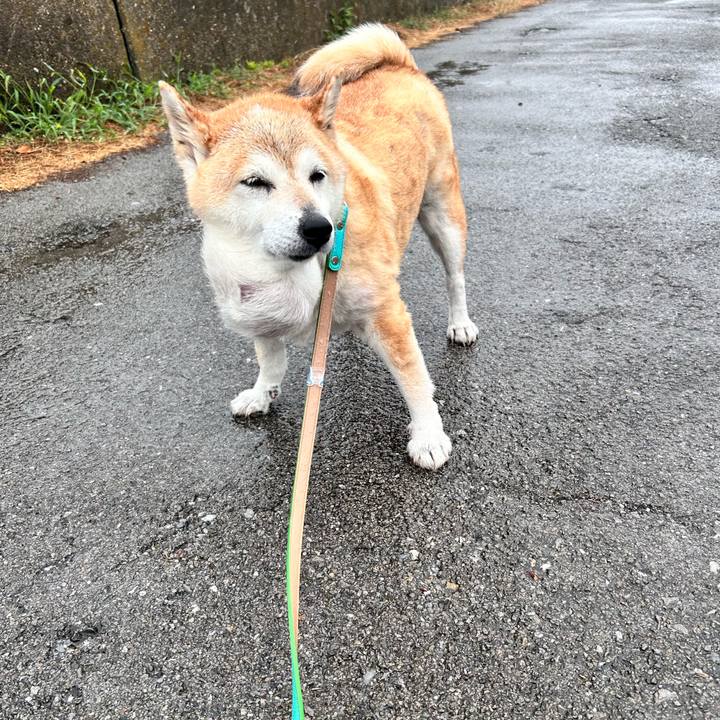 Aee490d5 08f7 4764 bce8 9b59bff587ab 1754783082950