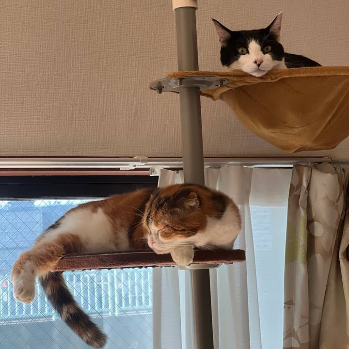 Aee4a076 49ff 443e bff0 96471881422f 1697852700786