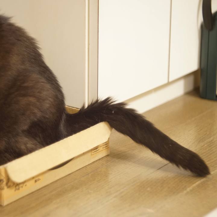 Aee4c6f4 4708 4cad 9d4e 75f18920b83f 1614685833808