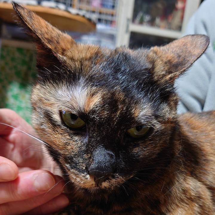 Aee51032 53a5 4a9a 88a3 e183114b0c9b 1708770519696