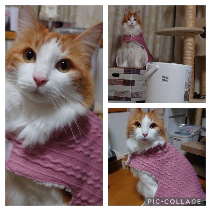 Aee5391e 28dc 40d5 8708 e154d6eee164 1642124860271