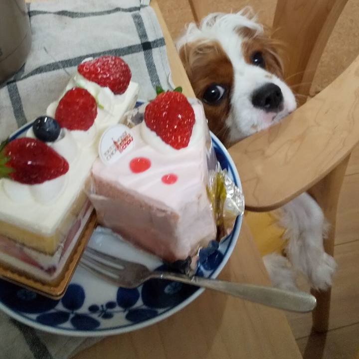 Aee53d1b 63ac 4f64 b09f 686d8c6b6cfb 1583928441367