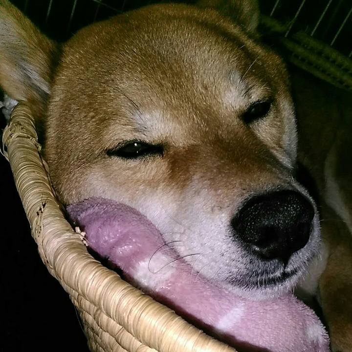 Aee55799 f524 4ef9 b0d4 84e55dd94d26 1551617555243