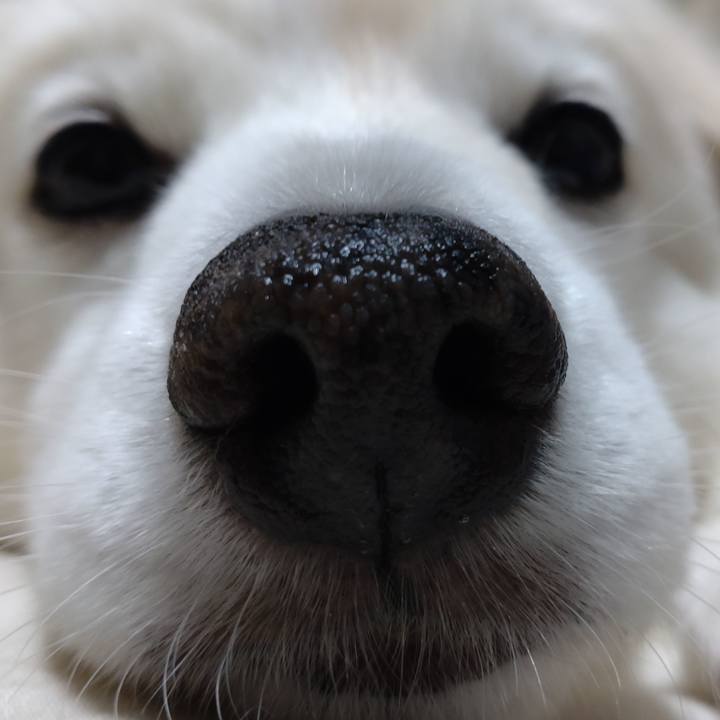 Aee575f8 03e0 4725 9ffb 275f5ae06ea2 1654917666645