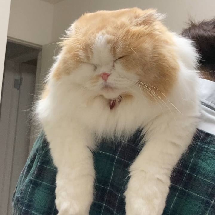 Aee59cae 030f 4fb8 8bd6 76686e3ba9dd 1606054910532