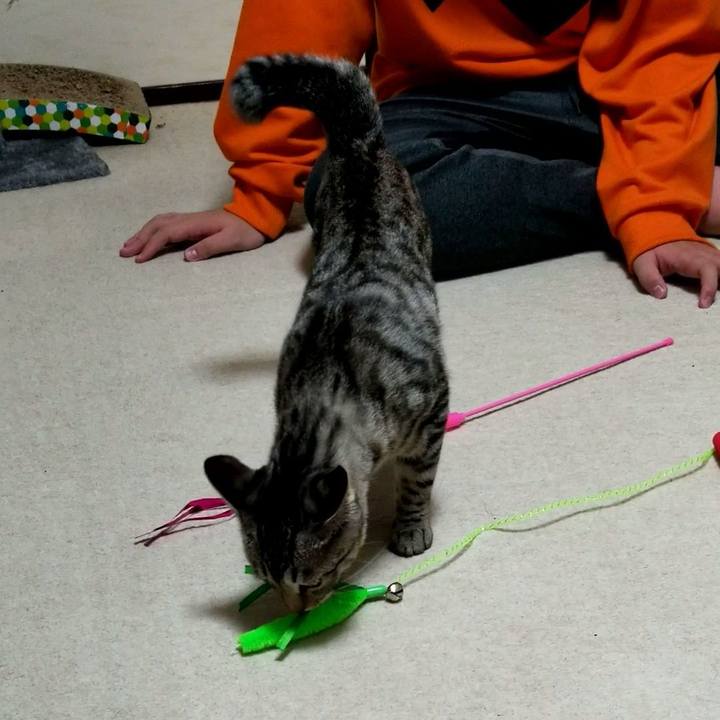 Aee5b2dc f0e3 44da 8fa9 4a69709c245d 1676906914719