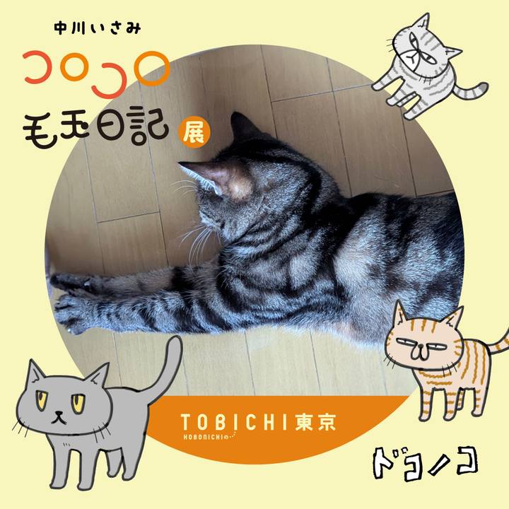 Aee5d89e 84fd 4216 b935 acbcc8025533 1740113831453