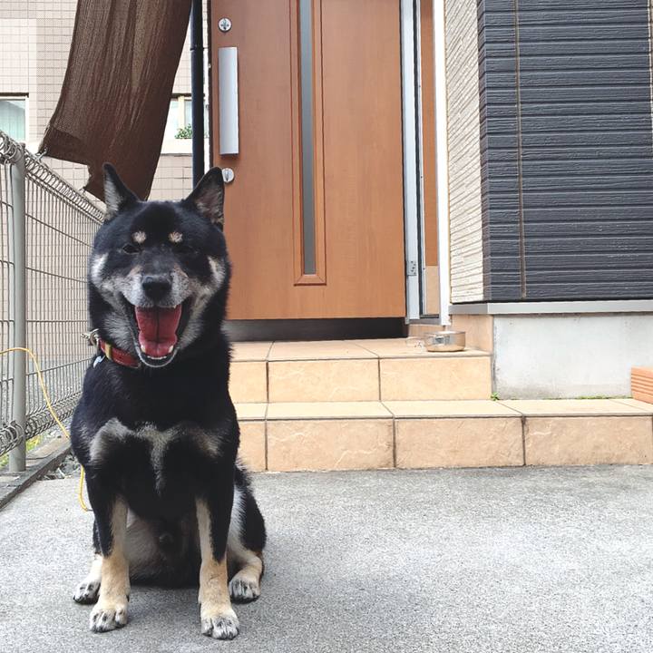 Aee5f68a 96b2 47b8 9f01 a2c6bd651fa2 1540351011055