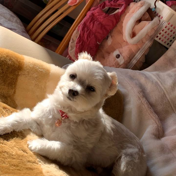 Aee5fa2d c7af 49fd b5c5 79e861789f0c 1575963361225