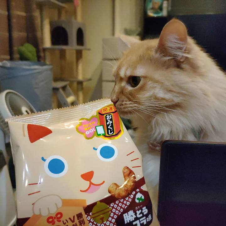 Aee6072f 78cb 49b2 98e7 a242cc012161 1673168490083