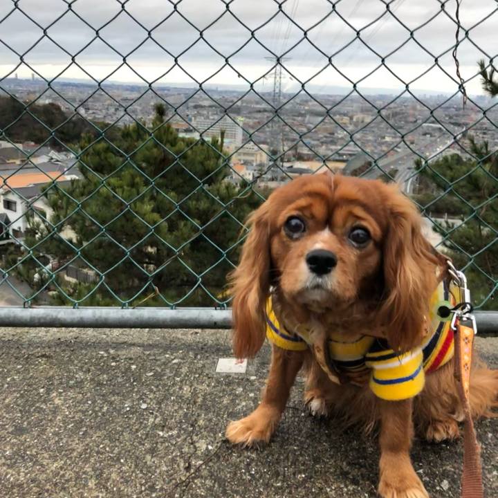 Aee60d1e bd77 4f38 aa65 a0d184939910 1611495510525