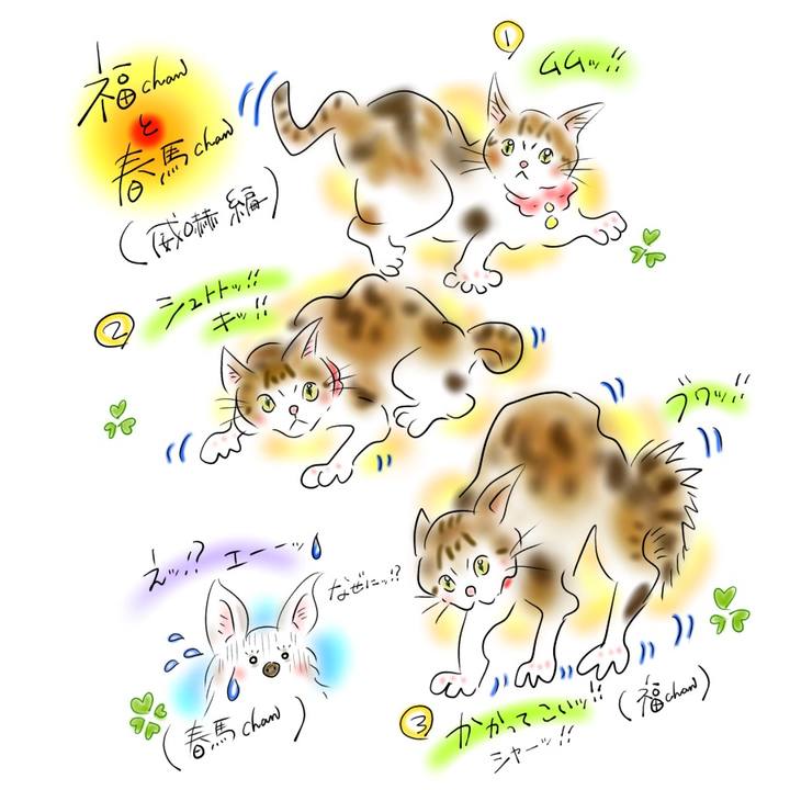 Aee621ec 54ae 4d9c 99c3 3239dca0c7c7 1614350967135