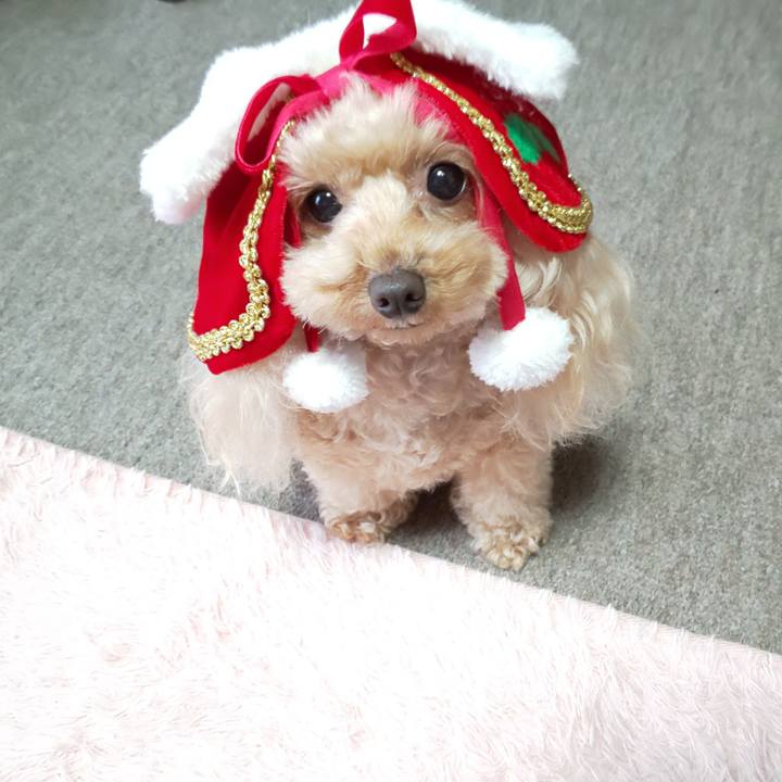 Aee64c7f b24a 430c b8e1 d597334de6d7 1576237953447