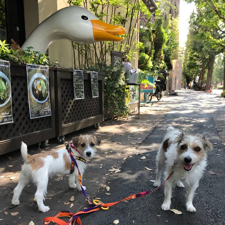 Aee6c560 4a9c 4a4c a72f c0e0a75c1cc1 1760784038878