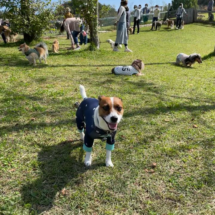 Aee6ca48 a2fd 42ff ac9d de890c0dfa0e 1633405263284