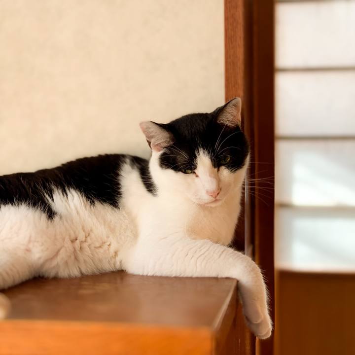 Aee6d30c 640b 40ac 9991 01209b265bec 1600905844918