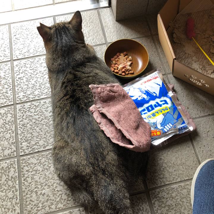 Aee6efaf 1cab 4d12 afbe b192989cab63 1566137086749