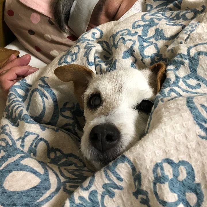 Aee70827 8de8 41c2 b2e2 a3a3eeedf5f7 1517140384967