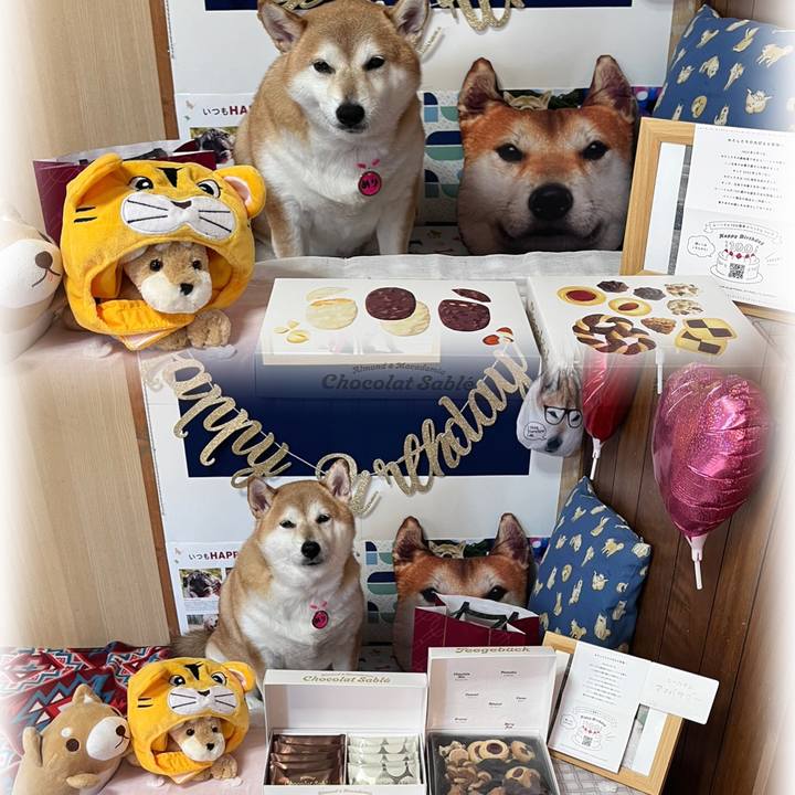 Aee755e5 3b94 4a37 840e bda4ab200b37 1669354314068