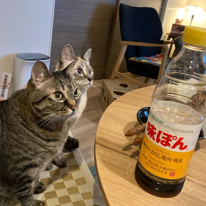 Aee77192 6267 4aa3 ac6a 135f216b2b2a 1636196440489