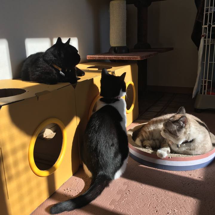 Aee7bb65 4059 4861 85b6 31c11b7cc627 1515548695614