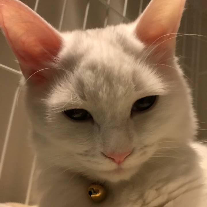 Aee7c6db c8b6 417c 8a24 a7b837520555 1512562218678