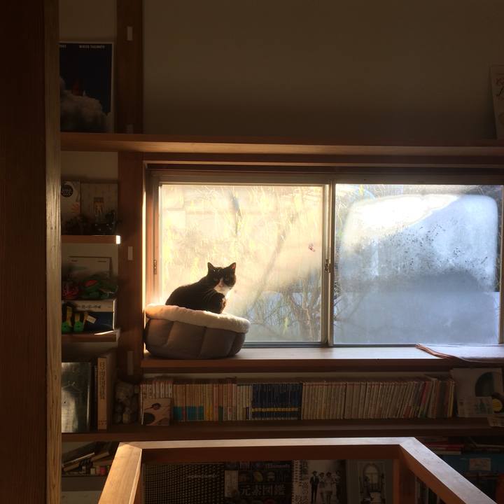 Aee7e59e c6c0 4c5a 974b 67fdf2881011 1579563466109