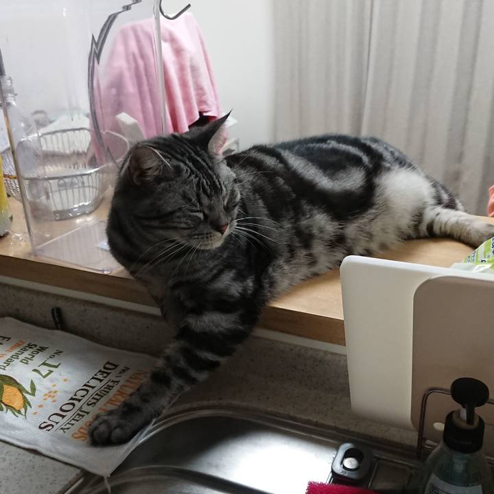 Aee807f6 8073 430e b0bc 0a1f1fd3ee7c 1583935098832