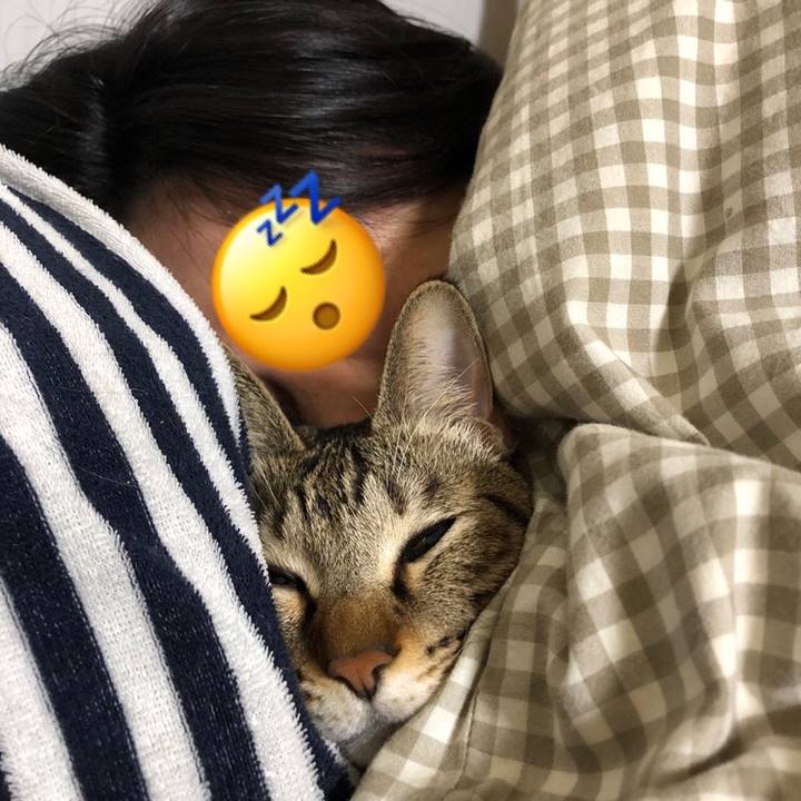 Aee81272 2fd5 44b2 80cb 560f2256a59c 1642454198290