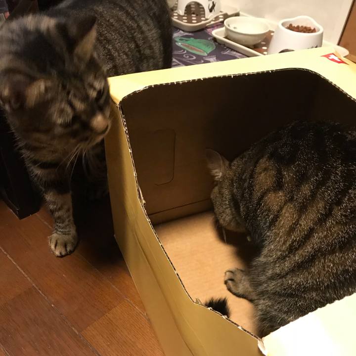 Aee823cb 5098 47f9 93c9 cdd207cbb442 1541174488437