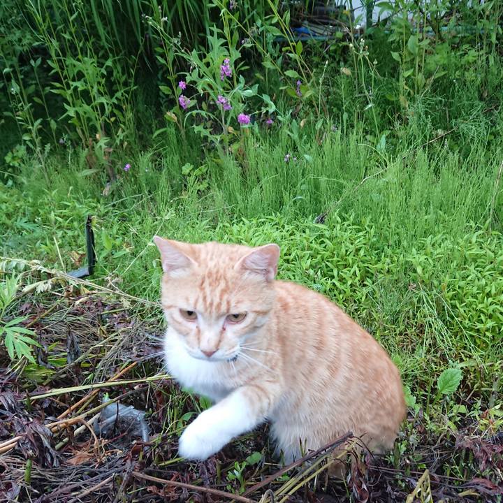 Aee84f7f b266 48c6 af61 a23a2bfcfb3b 1560977249946