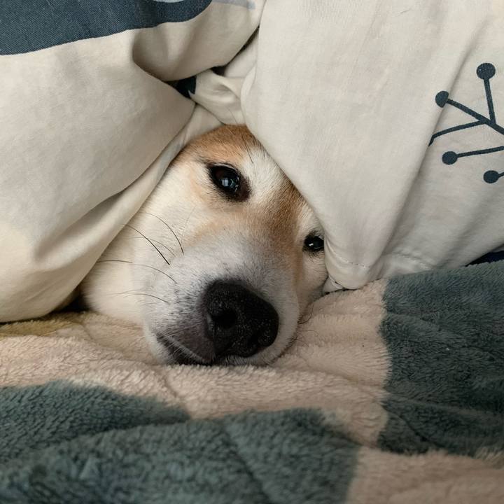 Aee8a89f 1a52 4566 9f98 d1309a3ded2d 1616334976574