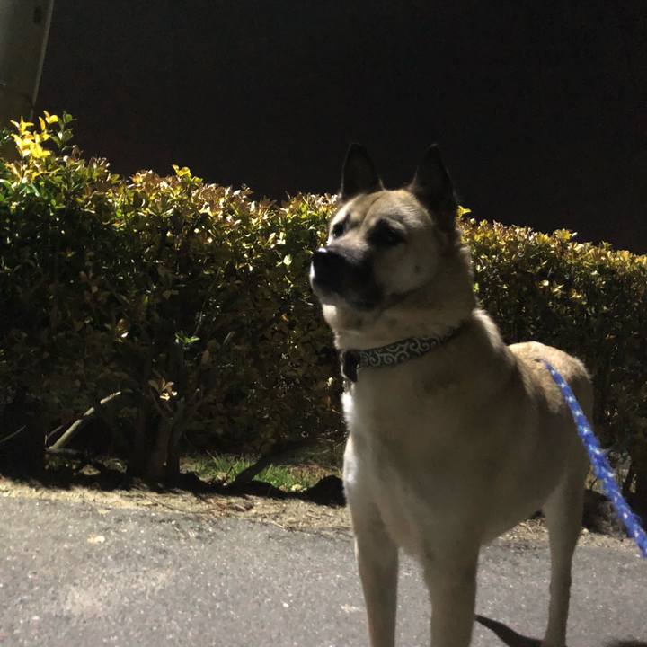 Aee8d487 db24 4de5 ac7f 7db842a24364 1612955584987