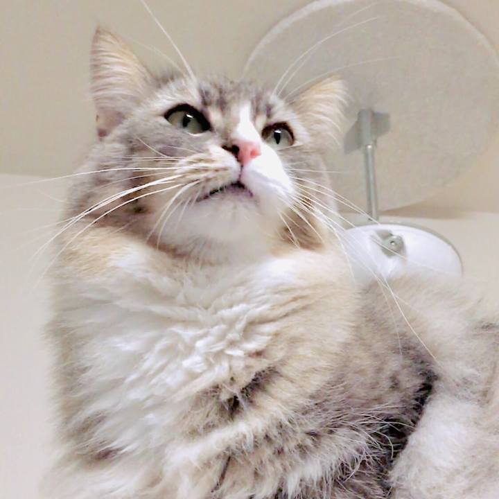 Aee8f56f 97a9 4472 b3ff 7afe03c797cf 1570470355974