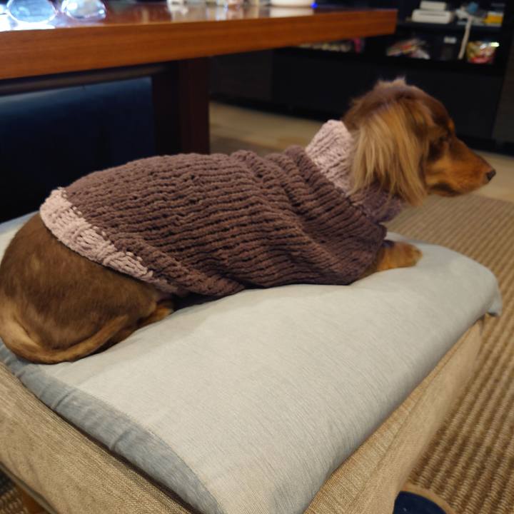 Aee90883 69bd 43a9 bde1 8799c519873c 1704185201322