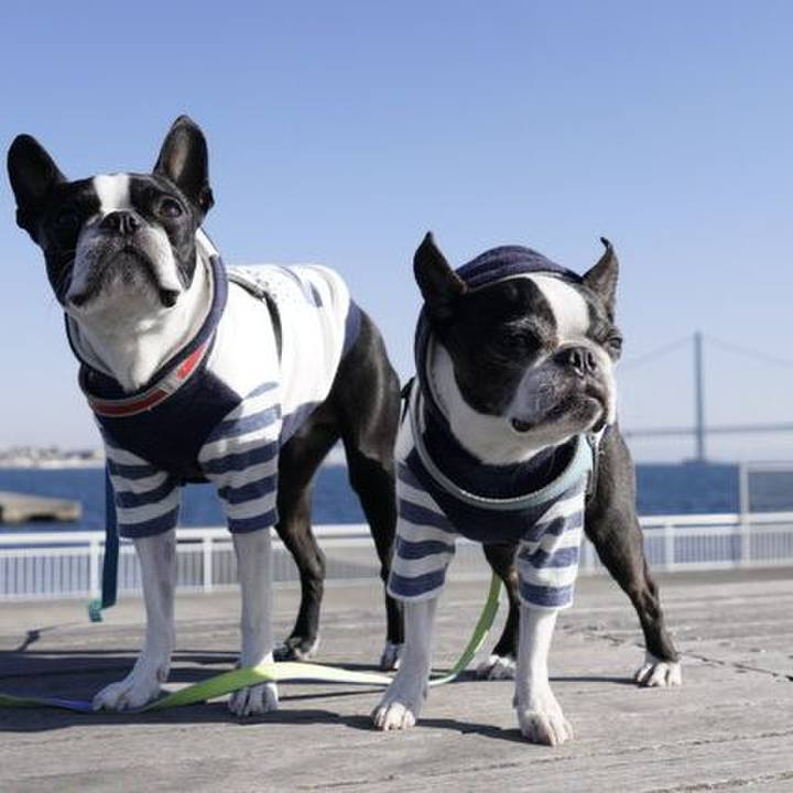 Aee91dd4 4542 4aff 9e82 b7644d76c2c4 1547455065119