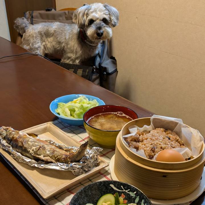 Aee94234 75f0 45ff 9904 36a93db91318 1762009199707