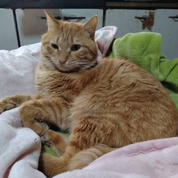 Aee97321 ed04 4f1a 9cc0 13ad376e68a1 1677281144733