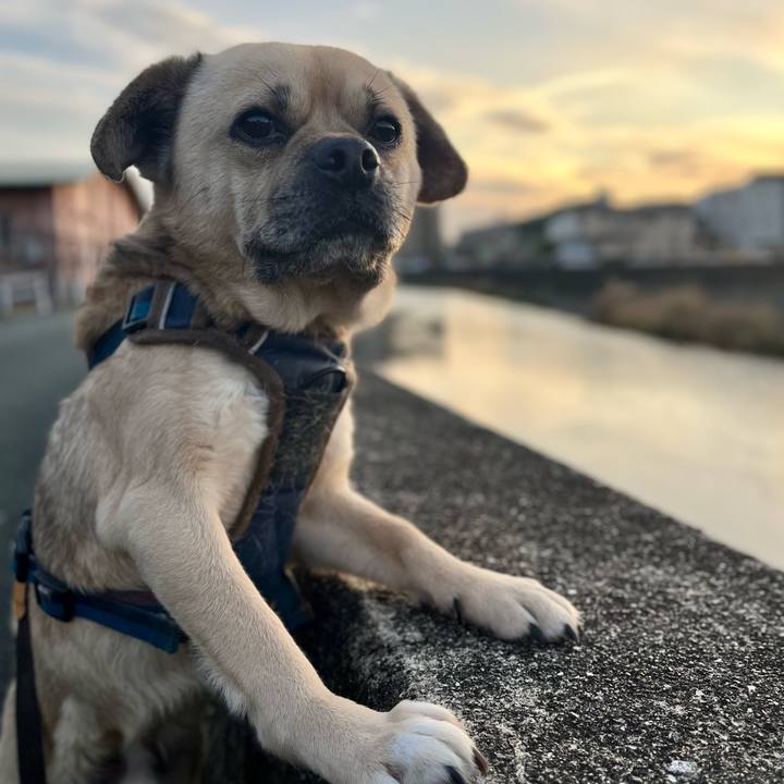 Aee9de85 6344 47b4 9181 05605f2fb9ff 1768899848712