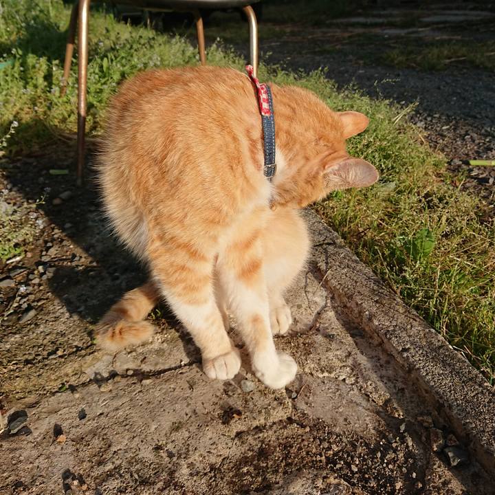 Aeea6935 33b1 4460 8269 4b4965a30512 1559163091165