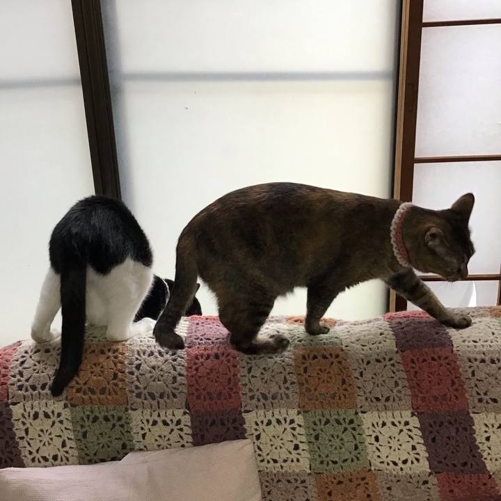 Aeeab74b 6dfd 4e05 a25f 14d79aaf171c 1655196110536