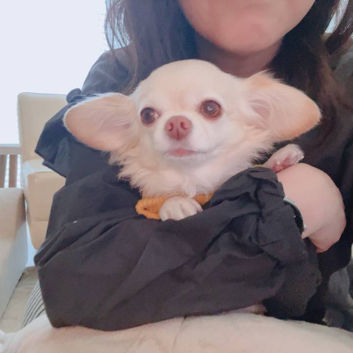 Aeeabce7 3a28 435d a567 2cfcb9f69a74 1764377401586