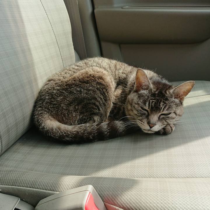 Aeeae638 b3df 4de3 8949 d79f091a5f52 1555216417937