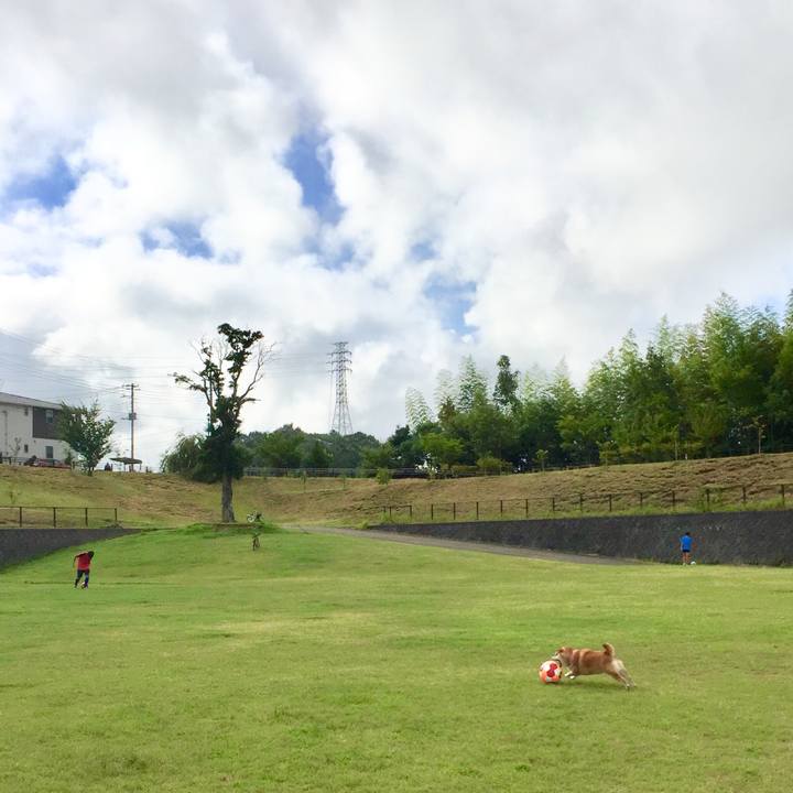 Aeeafe5b a226 447a 820c a7c032b42207 1532903669420