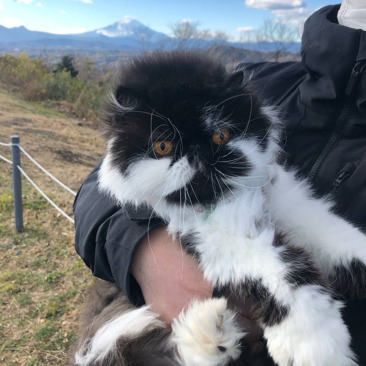 Aeeb1466 ab54 4762 98c8 405c4627c7a0 1671351223642