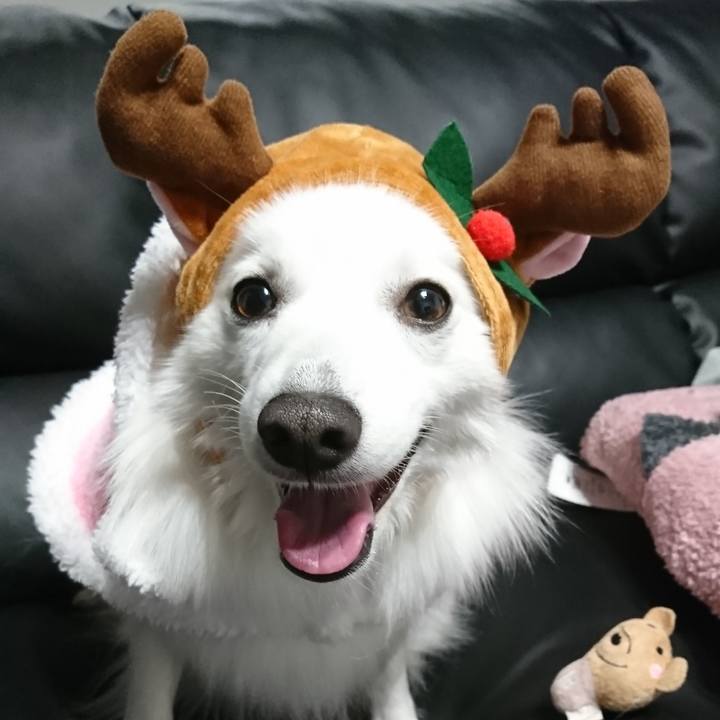 Aeeb9163 ba3f 4880 8ee7 cfa44533e3f4 1544258874544