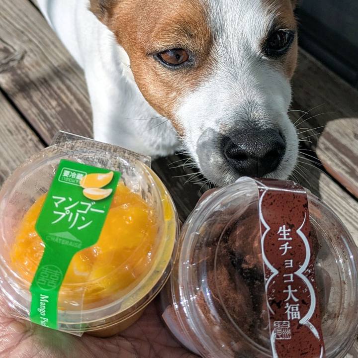 Aeebb606 a925 41b0 849c bec9948c4a15 1766461043784