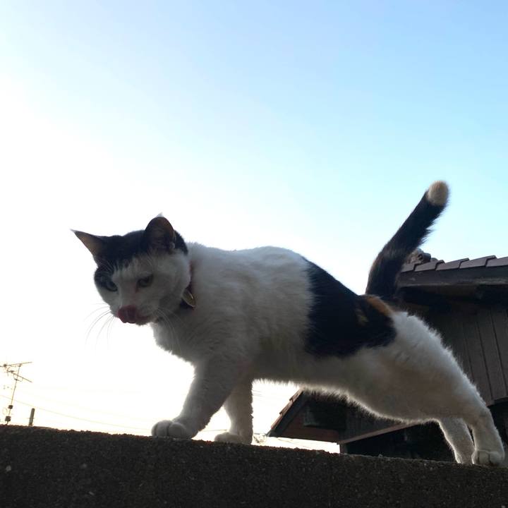 Aeebcf7c b5c8 4a6a 9d16 0eadf5a075c6 1639521195299