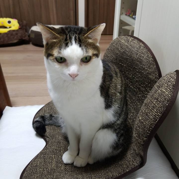 Aeebd01f 39e7 4999 8ffd 0400c683bd1c 1587180768598